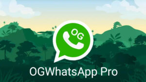 OGWhatsApp (OGWA) MOD APK Pro Update Terbaru