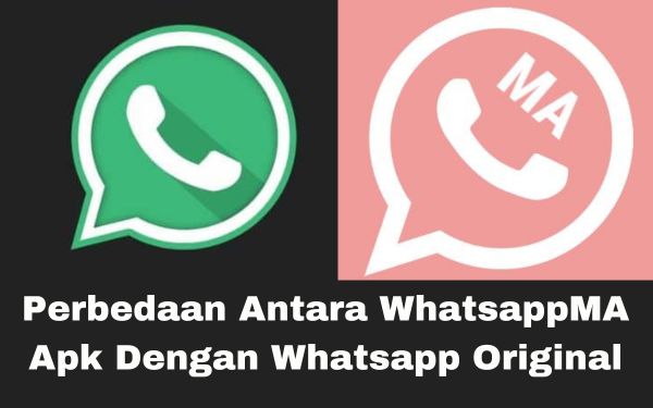 Perbedaan Antara WhatsappMA Apk Dengan Whatsapp Original