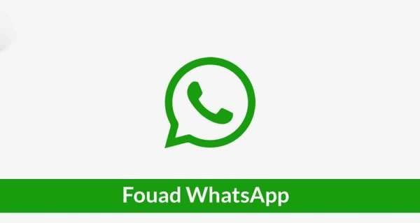 Review Fouad WhatsApp