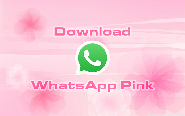 Link Download WhatsApp Pink Versi Terbaru 2023