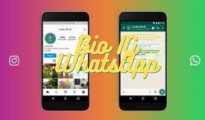 Bio IG WhatsApp & Cara Membuat Link WhatsApp Mudah 2023
