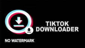 Download TikTok No Watermark Apk Versi Terbaru 100% Work