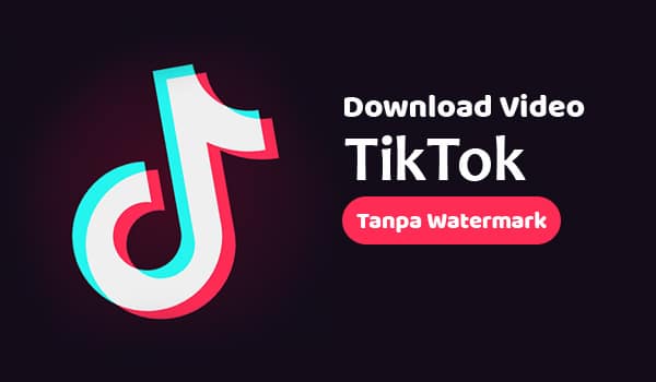 Download TikTok No Watermark Apk