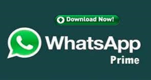 Download Whatsapp Prime Apk