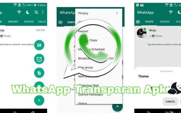 Fitur Dan Keunggulan Menarik Aplikasi WhatsApp Transparan Apk