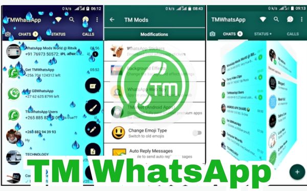 Fitur Dan Keunggulan Pada Aplikasi TM WhatsApp Apk