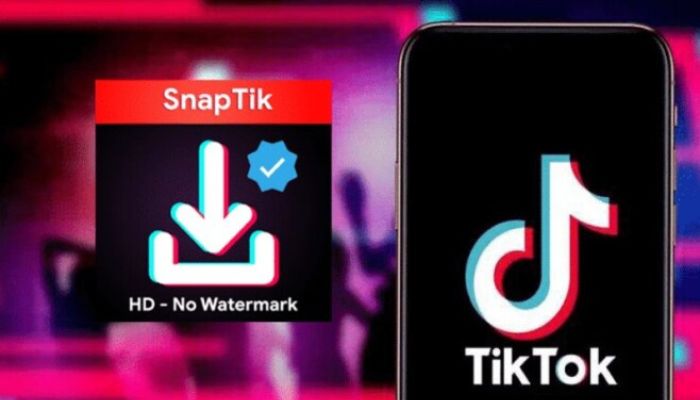 Fitur-Fitur Unggulan Dalam Snaptik TikTok Downloader