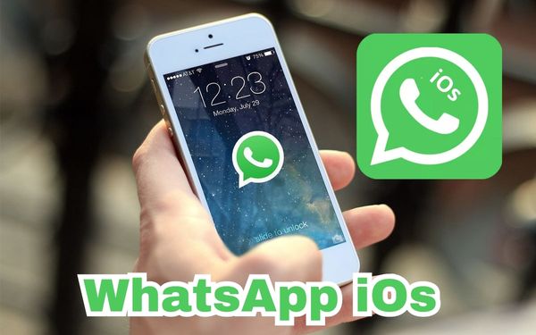 Fitur Unggulan Dan Keuntungan Aplikasi WhatsApp iOs Apk