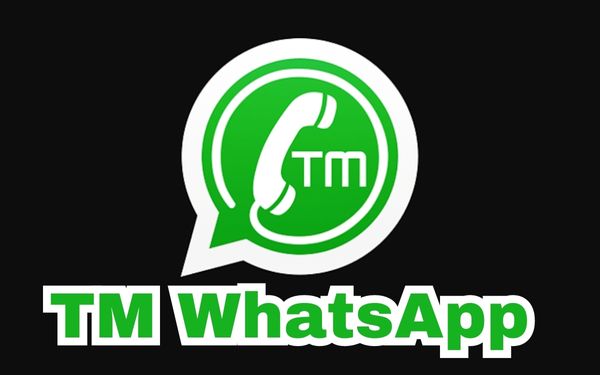 Penjelasan Singkat Mengenai Aplikasi TM WhatsApp Apk