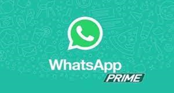 Sekilas Tentang WhatsApp Prime Apk