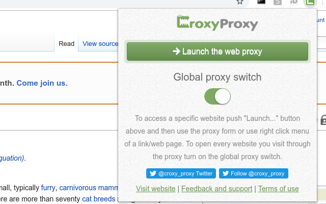 Tata Cara Yang Benar Dalam Memakai Croxy Proxy