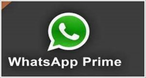 Whatsapp Prime Apk