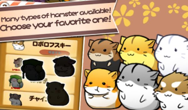 Beberapah Fitur Terbaru Yang Menarik Dalam Game Hamster Life Mod Apk